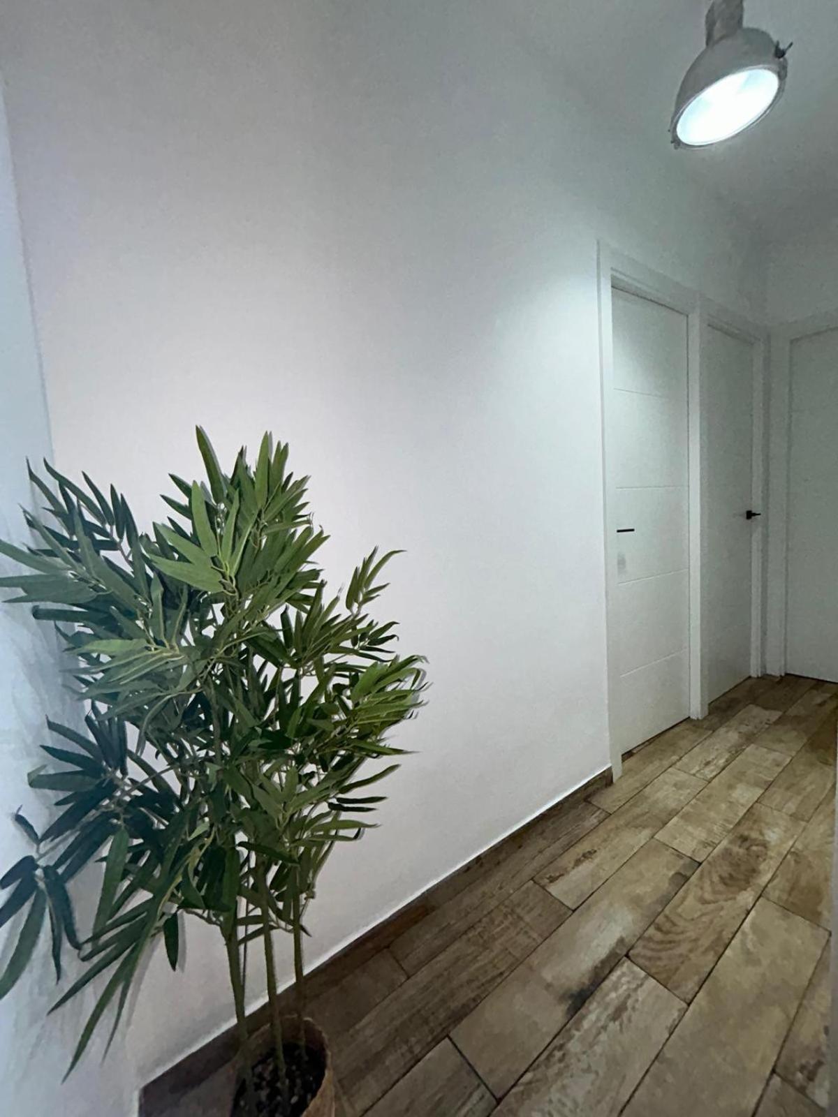 Ferienwohnung At Gongora 11 Con Parking Córdoba Exterior foto